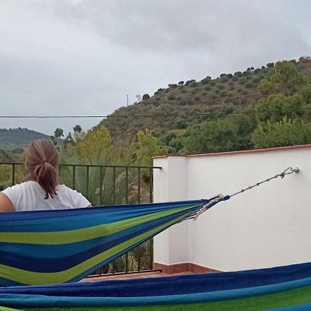 Apartamento Casa Con Vistas Al Campo Y Cocina Con Terraza Villanueva de San Juan Bagian luar foto